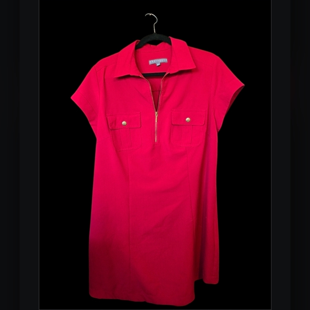 Sharagano Red Dress with Gold Accent